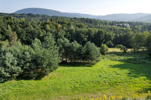 Działka na sprzedaż 4800m2 myślenicki Myślenice Łęki - zdjęcie 2