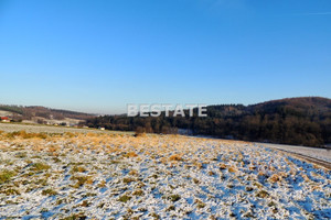 Działka na sprzedaż 1000m2 tarnowski Tuchów - zdjęcie 2