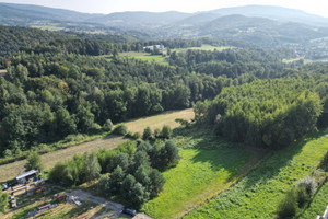 Działka na sprzedaż 4800m2 myślenicki Myślenice Łęki - zdjęcie 1