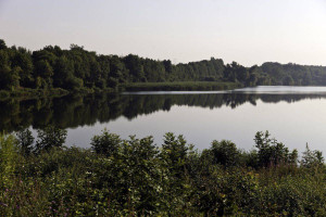 Komercyjne na sprzedaż 1400m2 Gliwice - zdjęcie 1