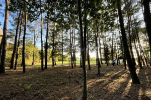 Działka na sprzedaż 7758m2 piaseczyński Konstancin-Jeziorna Chylice - zdjęcie 2