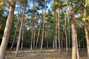 Działka na sprzedaż 1656m2 piaseczyński Konstancin-Jeziorna Chylice - zdjęcie 1