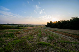 Działka na sprzedaż krakowski Michałowice Więcławice Dworskie Dworska - zdjęcie 1