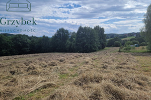 Działka na sprzedaż 19800m2 wielicki Biskupice Sułów - zdjęcie 3