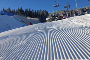 Działka na sprzedaż 2000m2 kłodzki Duszniki-Zdrój Leśna okolice - zdjęcie 1