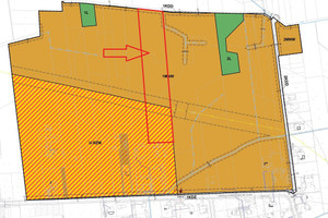 Działka na sprzedaż 21129m2 zgierski Aleksandrów Łódzki Grunwald - zdjęcie 1