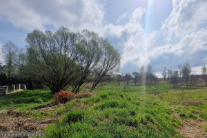 Działka na sprzedaż 5986m2 krakowski Zielonki Zielonki - zdjęcie 2