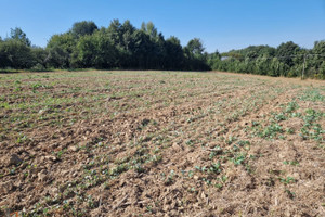 Działka na sprzedaż krakowski Iwanowice Narama - zdjęcie 3