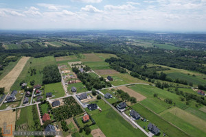 Działka na sprzedaż 17000m2 krakowski Zabierzów Zelków - zdjęcie 3