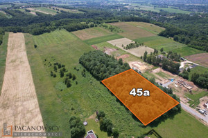 Działka na sprzedaż 13000m2 krakowski Zabierzów Zelków - zdjęcie 2