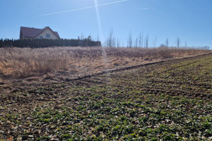 Działka na sprzedaż 1500m2 krakowski Iwanowice Narama - zdjęcie 2