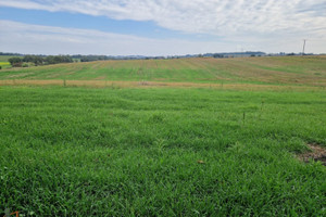 Działka na sprzedaż 785m2 krakowski Kocmyrzów-Luborzyca Wilków - zdjęcie 2