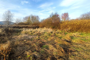 Działka na sprzedaż 3100m2 krakowski Zielonki Bosutów - zdjęcie 3