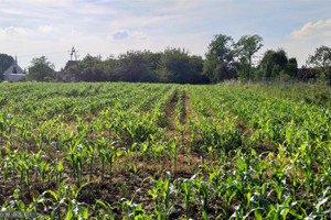 Działka na sprzedaż 2980m2 krakowski Wielka Wieś Będkowice - zdjęcie 3