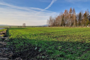 Działka na sprzedaż 2070m2 krakowski Zabierzów Brzezinka - zdjęcie 1