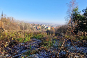 Działka na sprzedaż 4800m2 krakowski Zabierzów - zdjęcie 3