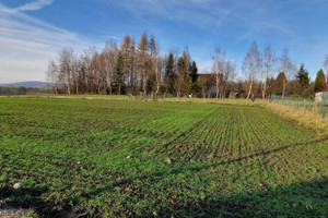 Działka na sprzedaż 1040m2 krakowski Zabierzów Brzezinka - zdjęcie 1