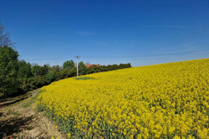 Działka na sprzedaż 10198m2 krakowski Iwanowice Sułkowice - zdjęcie 2