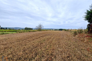 Działka na sprzedaż 5794m2 krakowski Zielonki Zielonki - zdjęcie 1