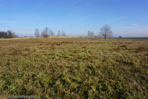 Działka na sprzedaż krakowski Iwanowice Iwanowice Włościańskie - zdjęcie 3