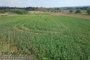 Działka na sprzedaż 8369m2 Kraków Prądnik Biały Tonie - zdjęcie 3