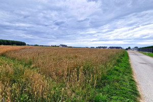 Działka na sprzedaż 20395m2 krakowski Liszki Piekary - zdjęcie 1