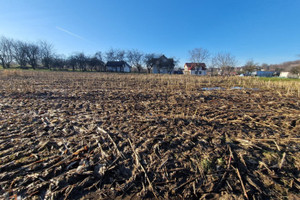 Działka na sprzedaż 3857m2 krakowski Zielonki Owczary - zdjęcie 3