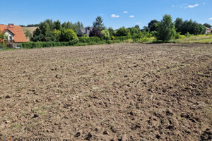 Działka na sprzedaż 1202m2 krakowski Michałowice Masłomiąca - zdjęcie 3