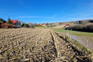 Działka na sprzedaż 2333m2 krakowski Zielonki Garliczka - zdjęcie 3