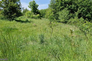 Działka na sprzedaż 600m2 krakowski Krzeszowice Nowa Góra - zdjęcie 3