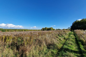 Działka na sprzedaż 8442m2 krakowski Zabierzów Zelków - zdjęcie 1