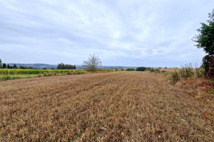 Działka na sprzedaż 5794m2 krakowski Zielonki - zdjęcie 2