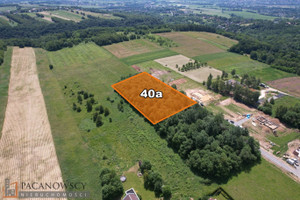 Działka na sprzedaż 4000m2 krakowski Zabierzów Zelków - zdjęcie 2