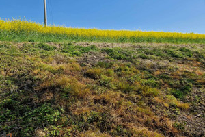 Działka na sprzedaż 10198m2 krakowski Iwanowice Sułkowice - zdjęcie 3