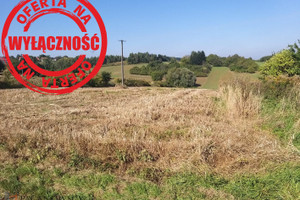 Działka na sprzedaż 3370m2 krakowski Iwanowice Damice - zdjęcie 1