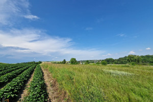 Działka na sprzedaż krakowski Skała Cianowice - zdjęcie 3