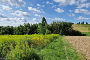 Działka na sprzedaż 2996m2 krakowski Wielka Wieś Wierzchowie - zdjęcie 1