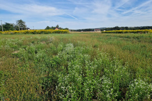 Działka na sprzedaż 800m2 krakowski Michałowice Masłomiąca - zdjęcie 2