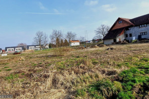 Działka na sprzedaż 4629m2 krakowski Zabierzów - zdjęcie 2