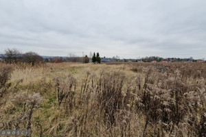 Działka na sprzedaż 4400m2 krakowski Zabierzów Bolechowice - zdjęcie 3