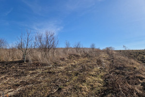 Działka na sprzedaż 1200m2 krakowski Michałowice - zdjęcie 1