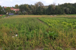 Działka na sprzedaż 3700m2 krakowski Michałowice Zdziesławice - zdjęcie 1