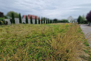 Działka na sprzedaż 700m2 krakowski Zielonki Bibice - zdjęcie 2