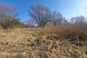 Działka na sprzedaż 3200m2 krakowski Zielonki Dziekanowice - zdjęcie 2