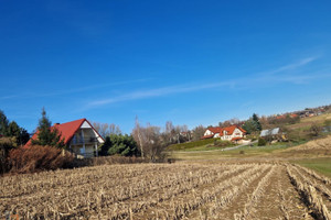 Działka na sprzedaż 2333m2 krakowski Zielonki Garliczka - zdjęcie 1