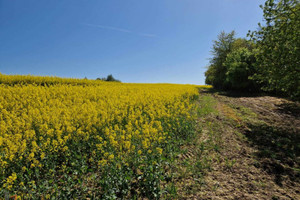 Działka na sprzedaż 10198m2 krakowski Iwanowice Sułkowice - zdjęcie 1