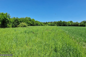 Działka na sprzedaż 4670m2 krakowski Wielka Wieś Czajowice - zdjęcie 2