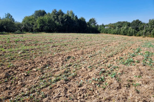 Działka na sprzedaż krakowski Iwanowice Narama - zdjęcie 2