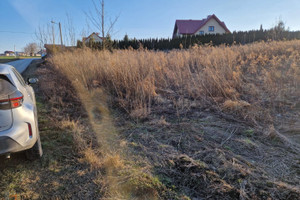 Działka na sprzedaż 4600m2 krakowski Zabierzów Aleksandrowice - zdjęcie 3