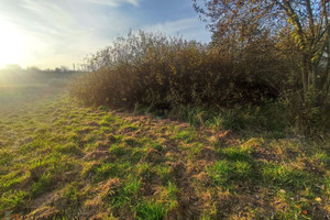 Działka na sprzedaż 3100m2 krakowski Zielonki Bosutów - zdjęcie 1